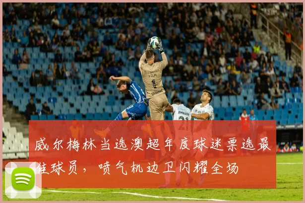 威尔梅林当选澳超年度球迷票选最佳球员，喷气机边卫闪耀全场