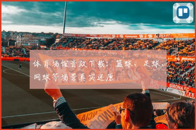 体育场馆音效下载:篮球、足球、网球等场景真实还原