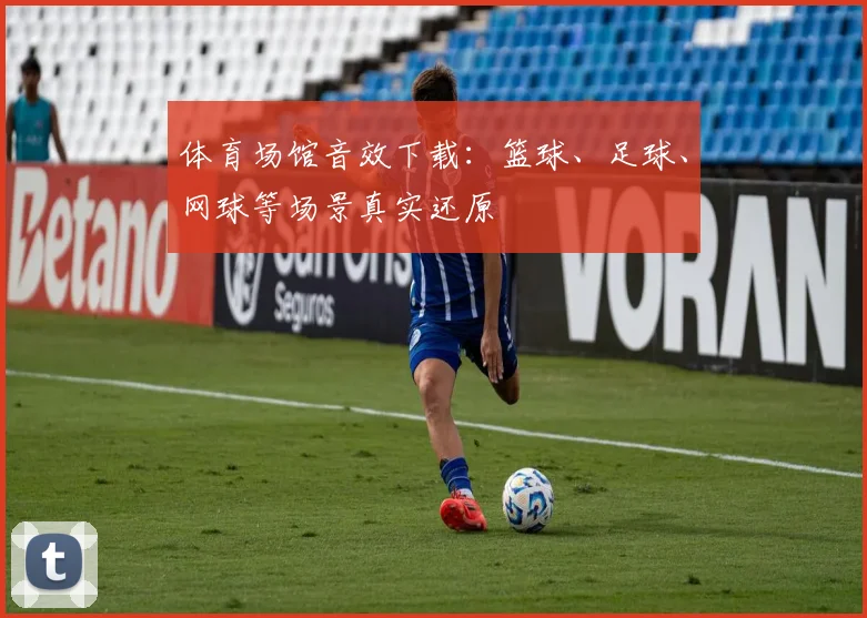 体育场馆音效下载:篮球、足球、网球等场景真实还原